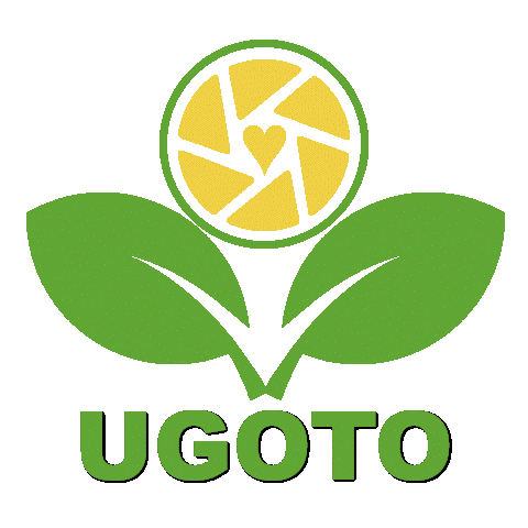 檸檬蜜餞 果乾 無添加 清潔液 花茶 零食 優果多UGOTO